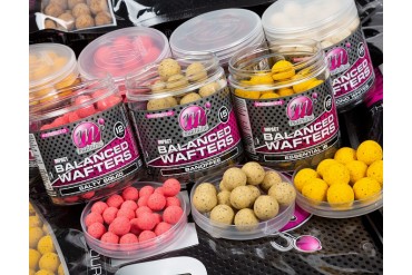 Mainline High Impact...