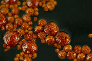 Sticky Baits The Krill...