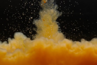 Sticky Baits Pure Calanus