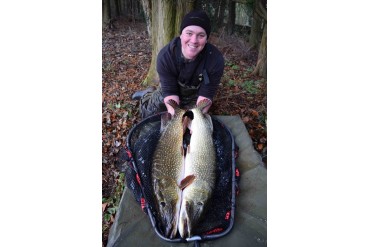 Korum SNAPPER FOLDING PIKE...